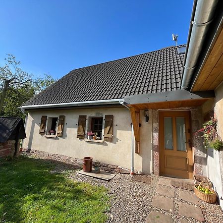 Klimatyczny Dom Kopaczowka Przytulna Miejscowka Z Kominkiem, Sauna I Ogrodem U Podnoza Gor Stolowych Radkow Exterior photo