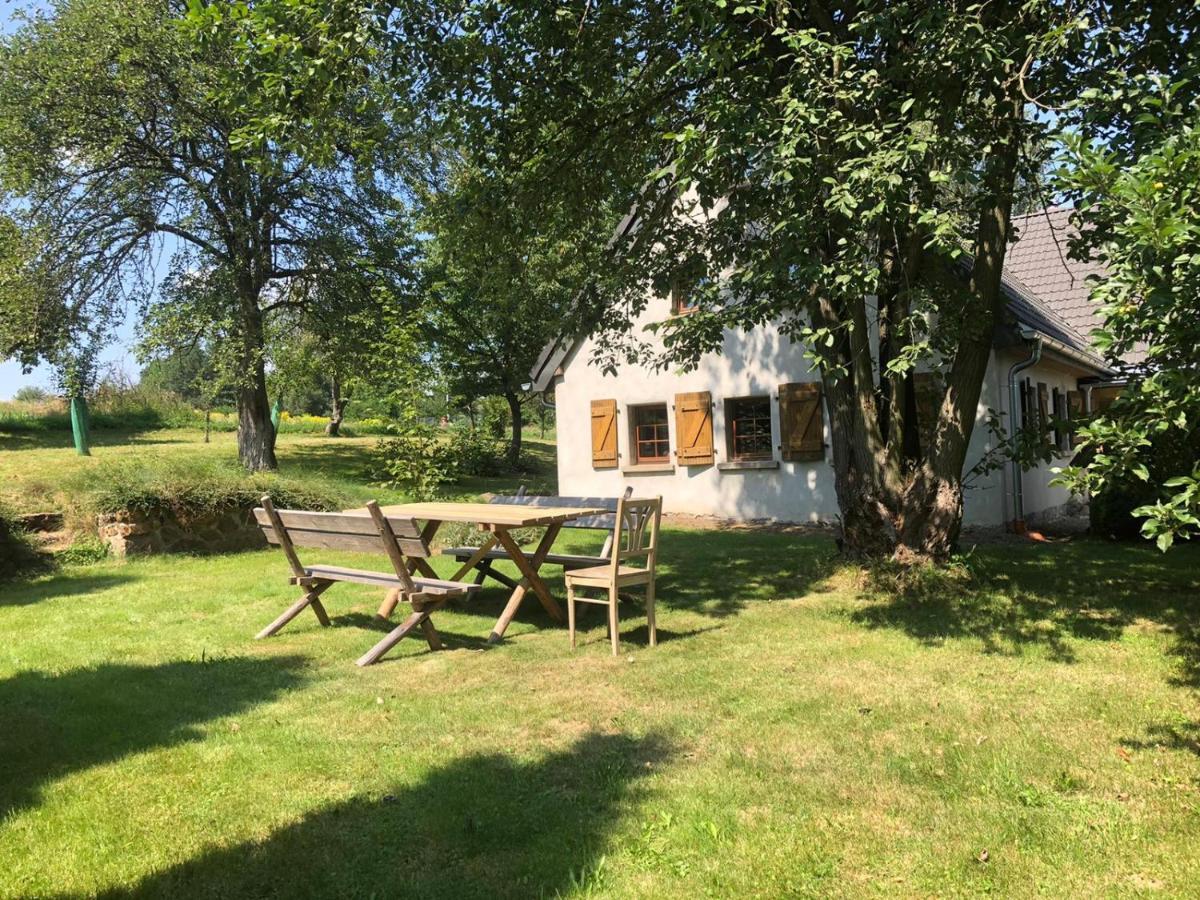 Klimatyczny Dom Kopaczowka Przytulna Miejscowka Z Kominkiem, Sauna I Ogrodem U Podnoza Gor Stolowych Radkow Exterior photo