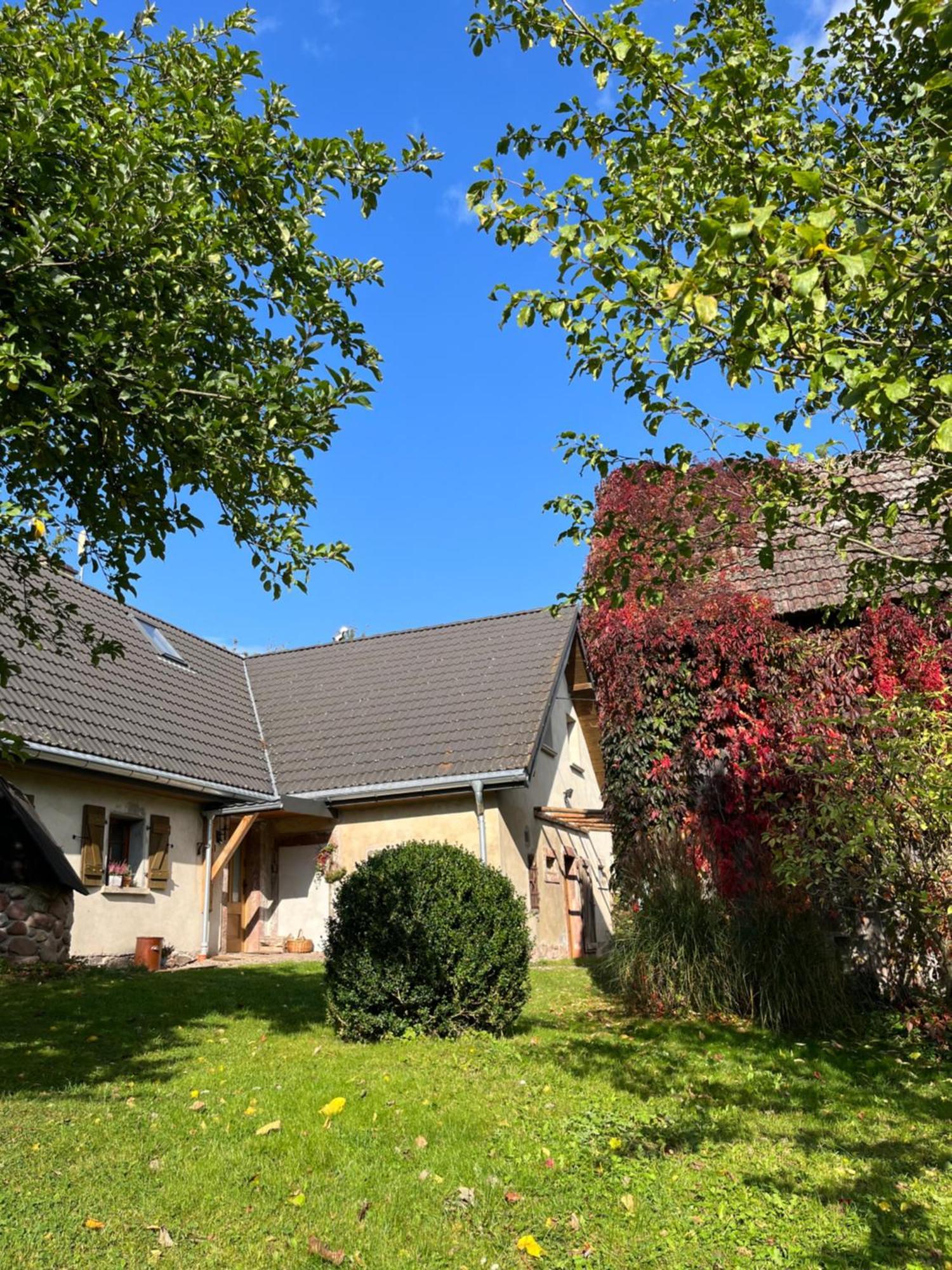 Klimatyczny Dom Kopaczowka Przytulna Miejscowka Z Kominkiem, Sauna I Ogrodem U Podnoza Gor Stolowych Radkow Exterior photo